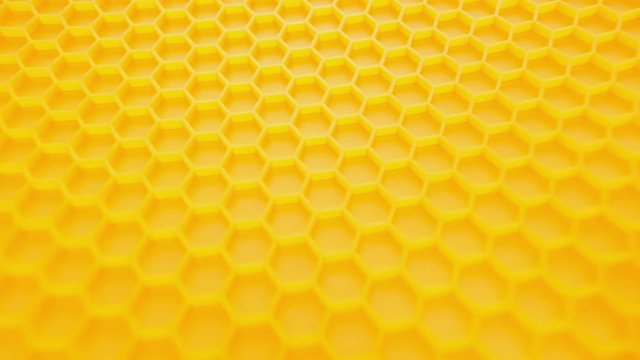 Honey comb. Abstract background. 
