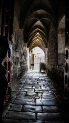 Fototapeta premium Chamber of Secrets