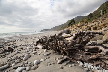New Zealand