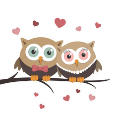 Couple of owls in love on a white background
