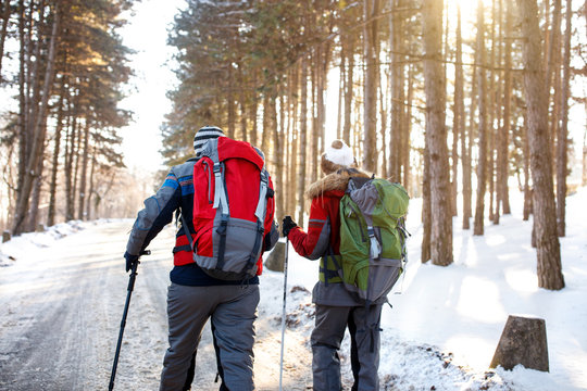 Male and female skiers walking through forest, back view