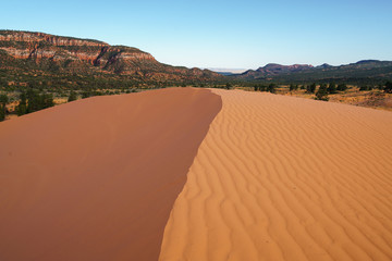 Coral Pink Sand Dunes