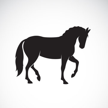Vector of a horse isolated on white background. Wild Animals. Easy editable layered vector illustration.
