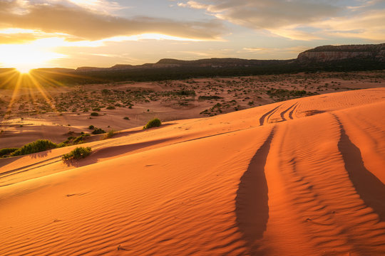 Coral Pink Sand Dunes