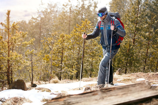 Active hiker in forest mountains