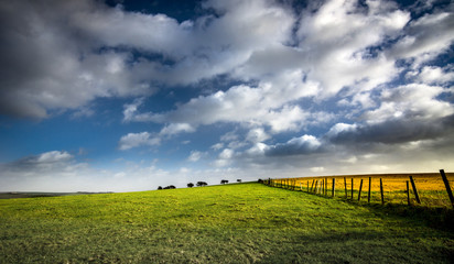 Fototapeta na wymiar Sunlight on fields with blue sky and clouds