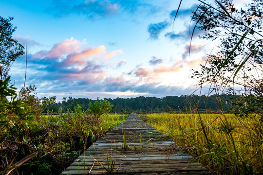 wooden on pier on south carolina low country marsh at sunrise with cloudy sky