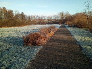 Weg führt durch Winterlandschaft mit Raureif
