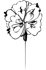 vector sketch abstract flower