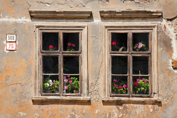 Fototapeta na wymiar The old windows with the flowers