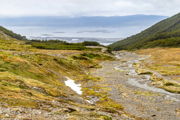 Trail in Glacier Martial