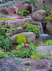 Colourful rockery with plants, flowers and water feature