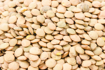 Brown Lentils for use as background.
