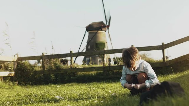 Little Caucasian boy playing near rustic windmill. Happy kid collecting flowers in village scenery. Tranquillity. 4K
