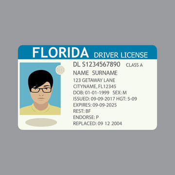 Usa driver license with male photo,flat template.