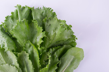 Green lettuce with copy space for text. Top view. On a white background.