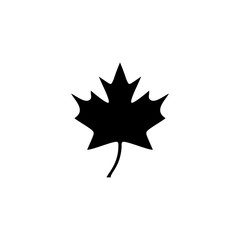 Fototapeta premium Maple leaf vector icon