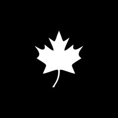 Maple leaf vector icon
