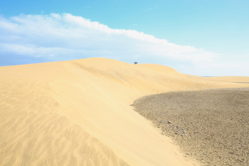 Fototapeta na wymiar Sand dunes near Maspalomas on Gran Canaria Island, Canary Islands, Spain