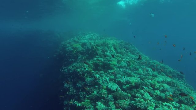 The outer coral wall (shallow bank called - The Saddle) separating the Blue Hole from the open sea, Blue Hole, Red sea, Dahab, Sinai Peninsula, Egypt
