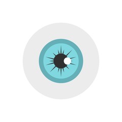 Eye icon, flat style