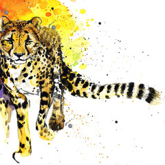 cheetah watercolor  illustration 