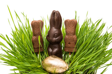 chocolate easter bunny