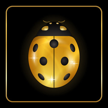 Ladybug gold insect small icon. Golden metal lady bug animal sign, isolated on black background. 3d volume bright design. Cute shiny jewelry ladybird. Lady bird closeup beetle Vector illustration