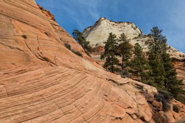 Scenic Zion National Park Utah Landscape