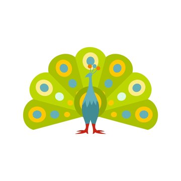 Colorful peacock icon, flat style