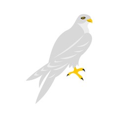 Hawk icon, flat style