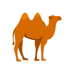 Camel icon, flat style