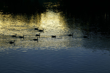 Fall sunset on the river.
