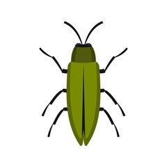 Green beetle icon, flat style