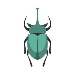 Big beetle icon, flat style
