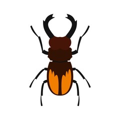 Stag beetle icon, flat style
