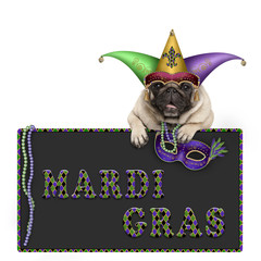 Mardi gras pug dog with carnival hat, beads and venetian mask hanging on blackboard sign with text, isolated on white background