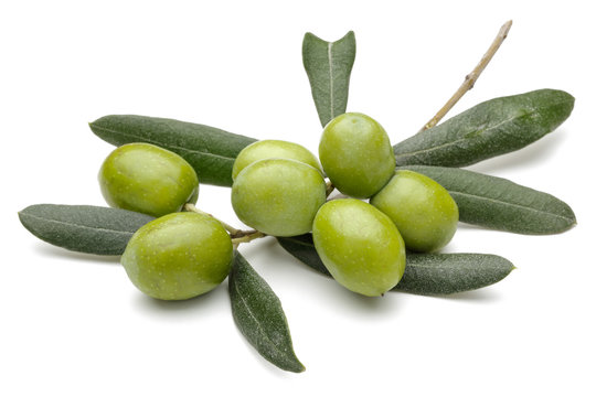 Olive