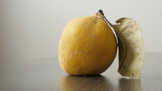 Fresh yellow Cydonium malum on the table slow tilt footage - Organic quince fruit close-up