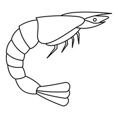 Shrimp icon, outline style