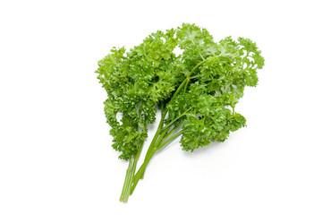 close up of parsley isolated on white background