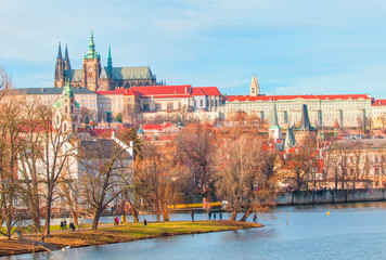 Obraz premium Castle and St. Vitus Cathedral. Czech Republic