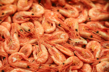 Fresh shrimps