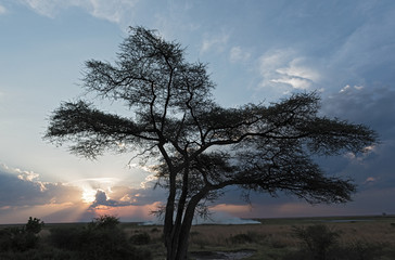 Obraz premium Steppe fire at sunset on Chobe River in Botswana