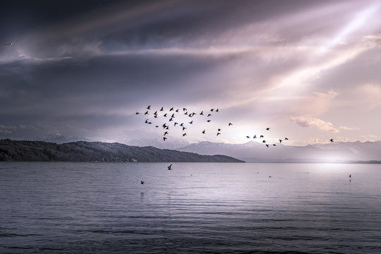 Blick &uuml;ber den Starnberger See