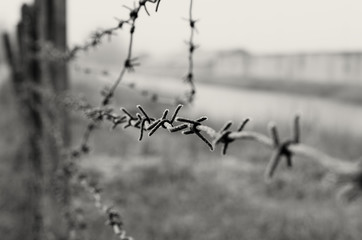 Barbed wire is a symbol of unfreedom, deprivation and concentration camps.