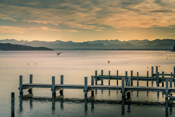 Blick über den Starnberger See