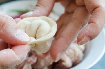 The process of making delicious home-made dumplings with meat.