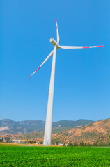 Wind turbines generating electricity