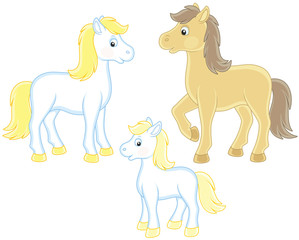 A family of a white horse, a little foal and a courser, vector illustrations in funny cartoon style